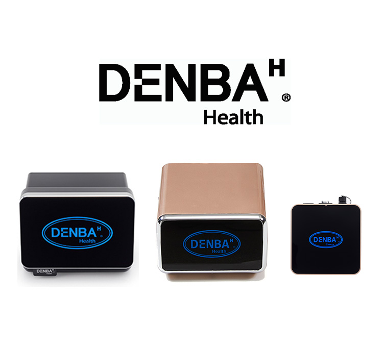 DENBA HEALT〈デンバヘルス〉ハイグレード電位マット - 美容/健康